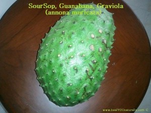Soursop Benefits