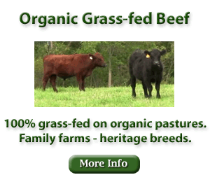 Grass-fed-beef-image