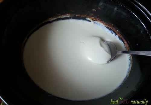how to make homemade yogurt organic