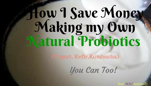 How I Save Hundreds Making My Own Natural Probiotics. You can too!