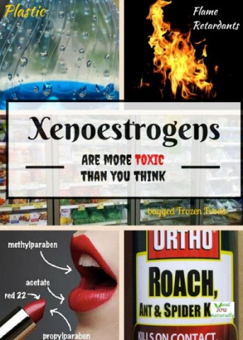 Why Xenoestrogens Are Harmful To Your Health And What to Do About it