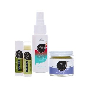Small Herbal Healing Kit Christmas Presents