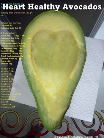 avocado pit health benefits