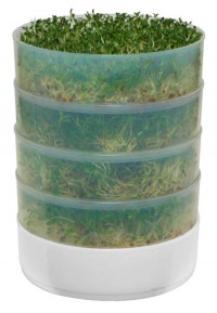 victorio-kitchen-seed-sprou