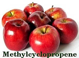meethylcyclopropene chemical in appless