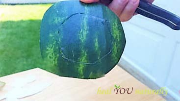 watermelon Tinkerbell theme teacup fruit