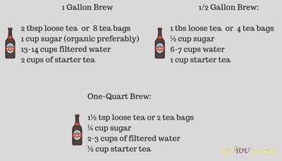 Ratios to make Kombucha How to make kombucha ratios