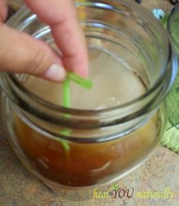 tasting homemade kombucha