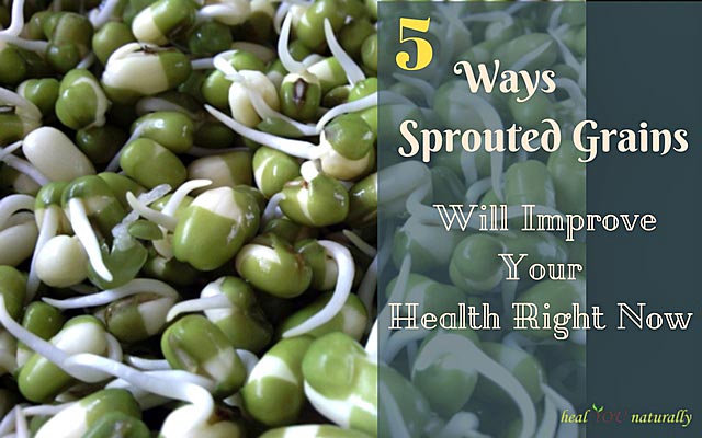 5 Ways Sprouted Grains Will Improve Your Health Right Now