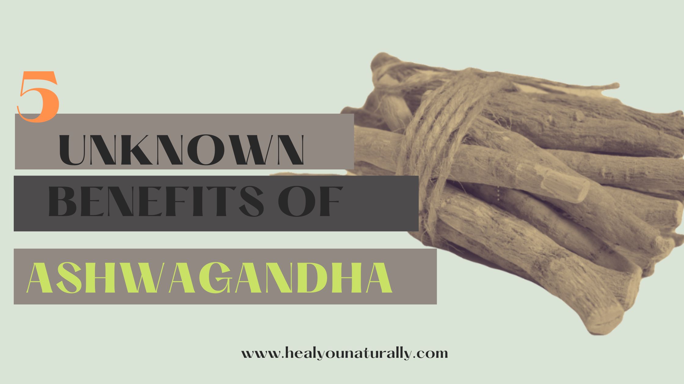 Do You Need To Cycle Ashwagandha 5 Little Known Benefits Of Ashwagandha You Need To Know About